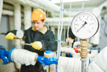 Manejo de Autoclave para Operadores Según Ds. 10 (auto-instrucción) - Hector Sanzana