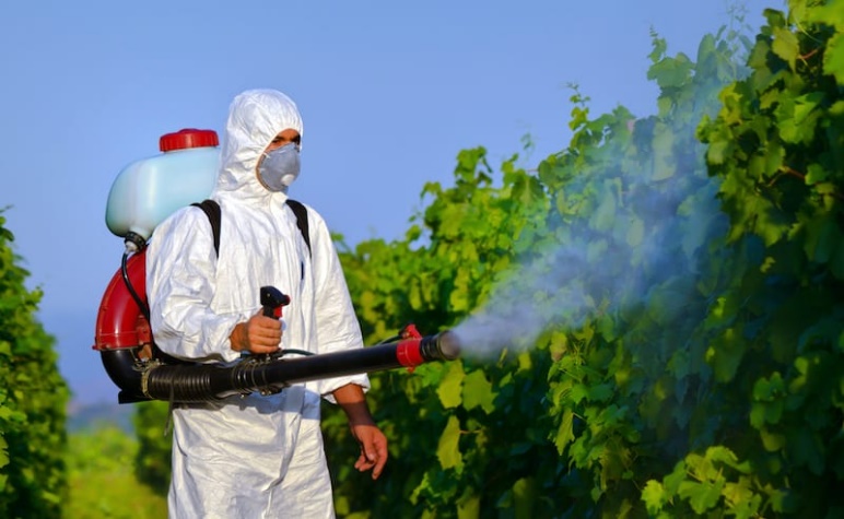 Manejo y Uso de Plaguicidas y Herbicidas Agrícolas [sag]