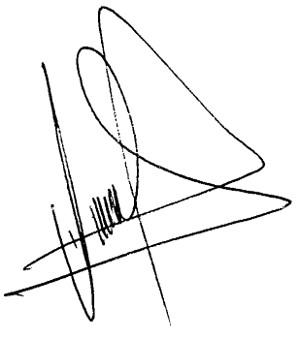 Técnicas de Operación Segura de Puente Grúa